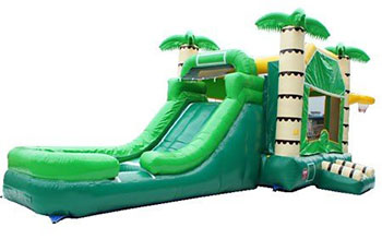 Palm Tree Combo Bounce / Water Slide